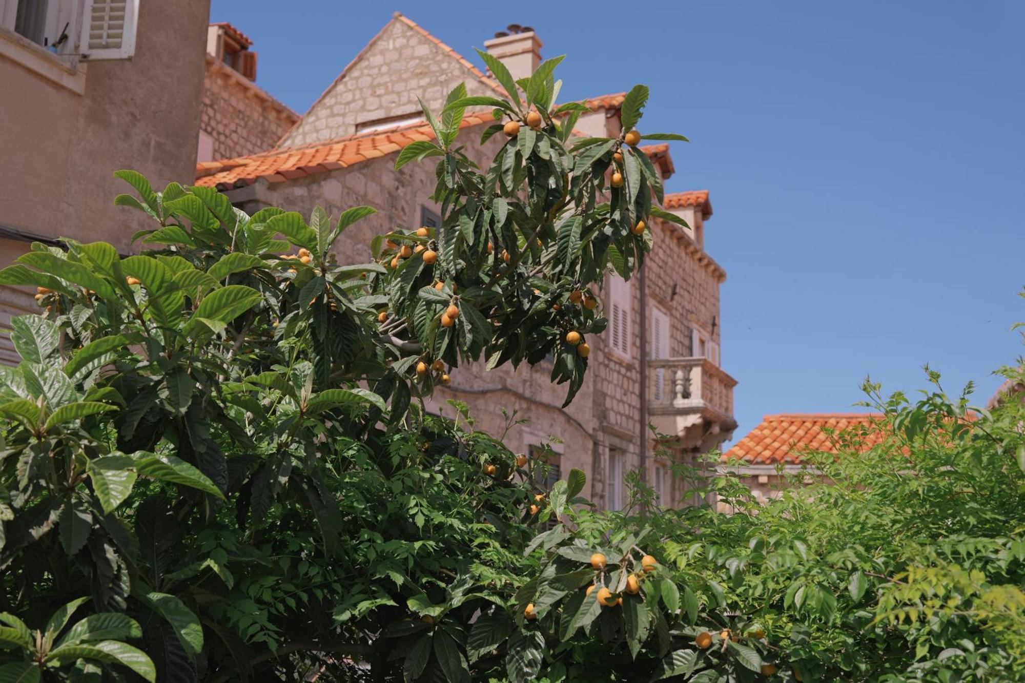 Old Town Green Oasis House Dubrovnik Buitenkant foto