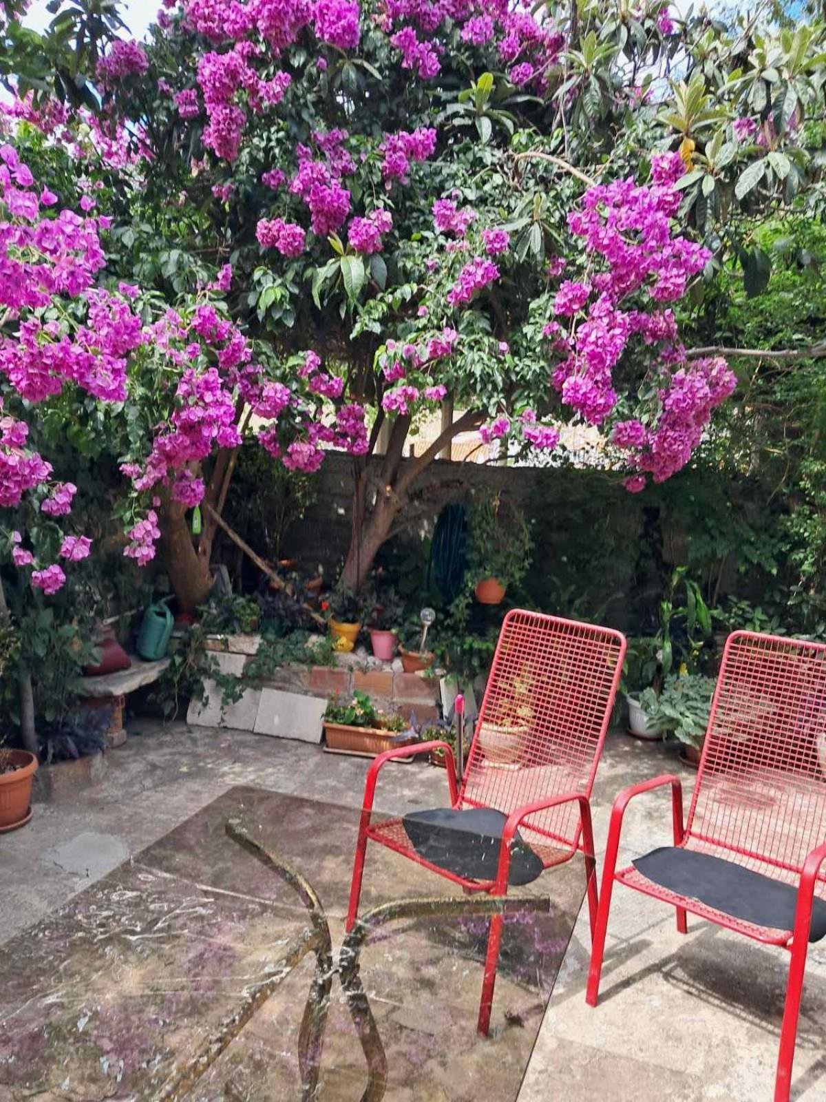 Old Town Green Oasis House Dubrovnik Buitenkant foto